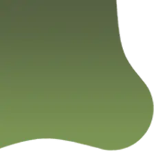 Animation Image